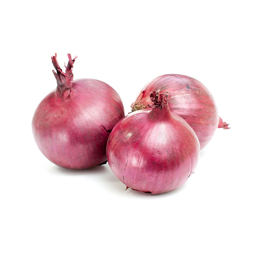 Fresh Onion